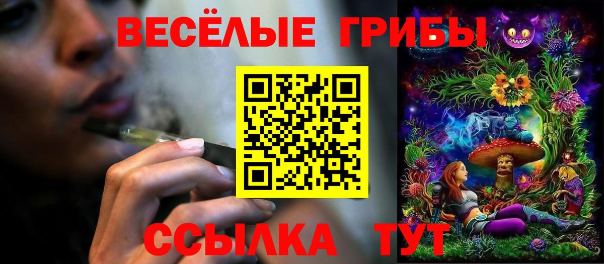 Псилоцибиновые грибы Cubensis  Вход с VPN  Вольск 